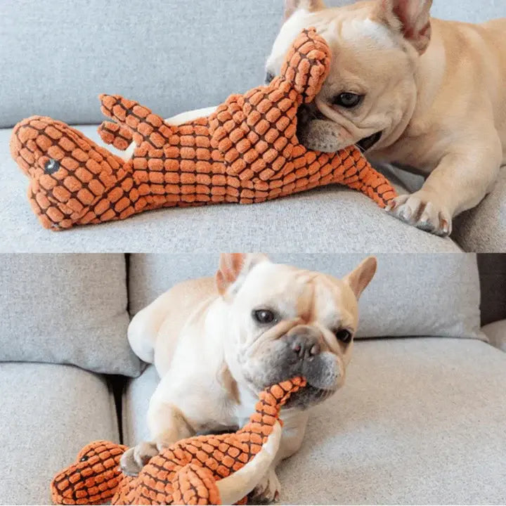 Indestructible Dog Toys