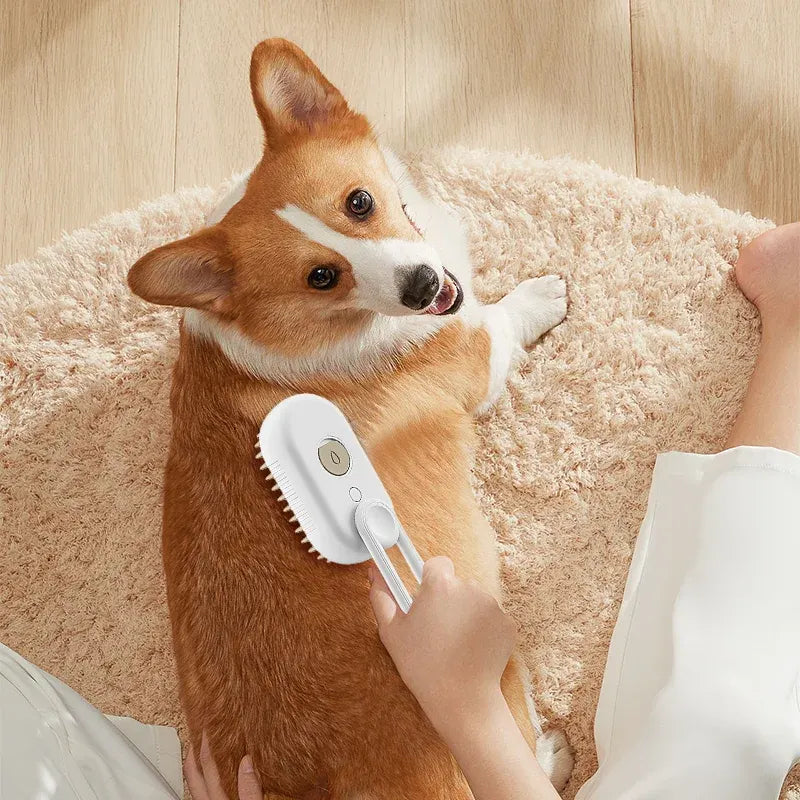 3 in 1 Steamy Pet Brush