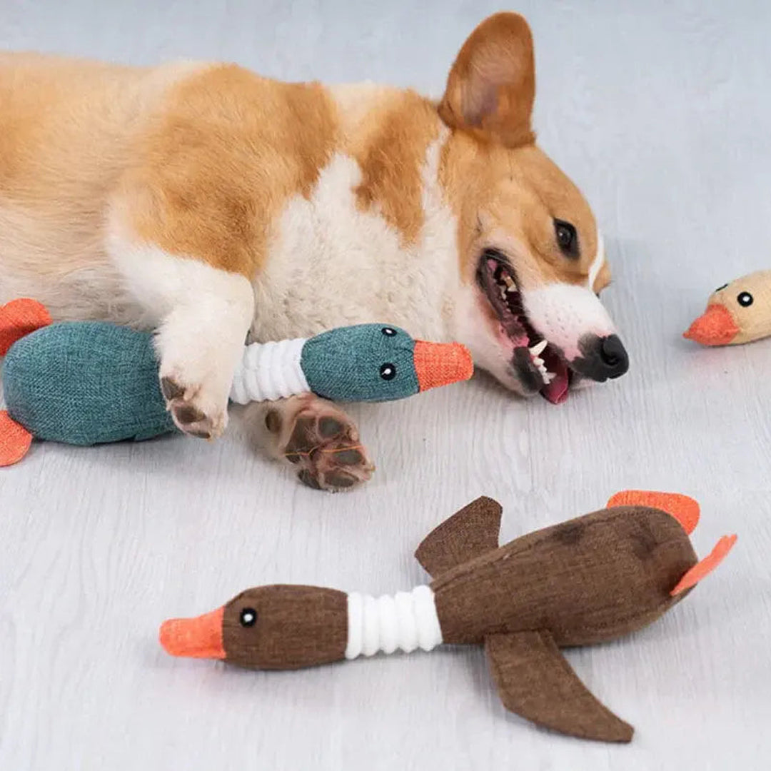 Indestructible Goose For Heavy Chewers